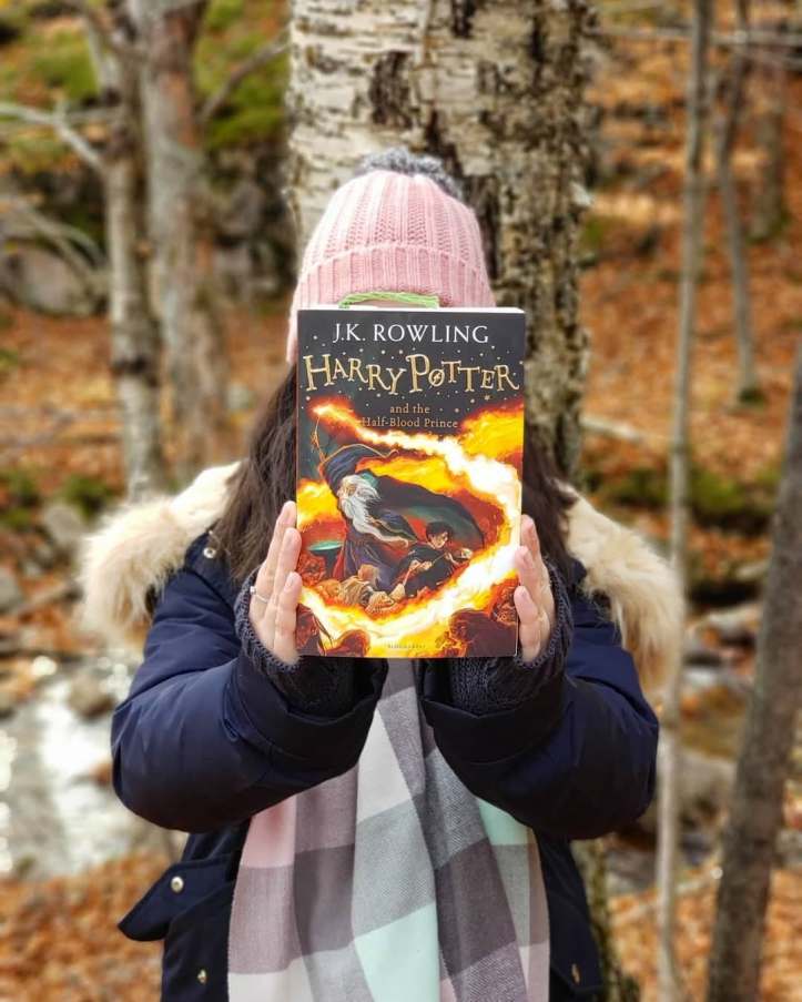 49183611_1994523117322640_3530610464755023872_n