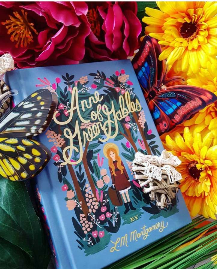 52384622_2065050450274724_6896165134461304832_n (1) 2