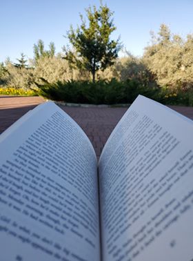 69683345_1120204614816495_5468104198056837120_n